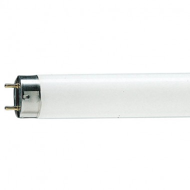 Лампа люминисцентная TL-D 36W/33 холодно-бел d26/G13/1200 Philips — Городок мастеров