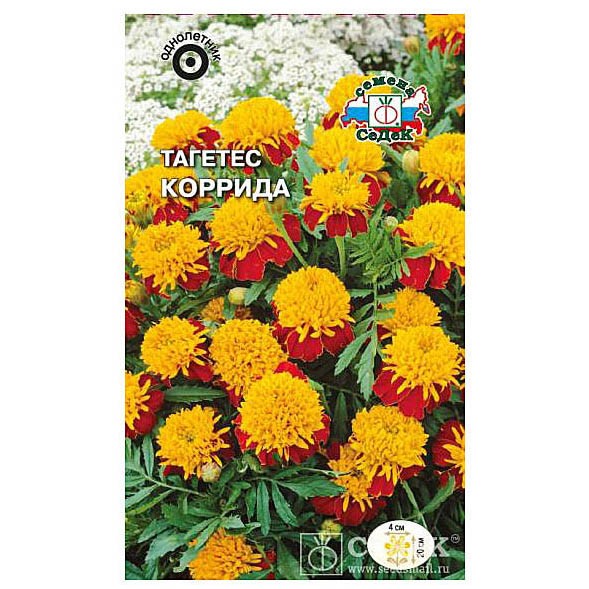 Тагетес Грунт Контроль Купить Семена