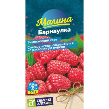 Семена ягода Малина Барнаулка красная 0.03гр — Городок мастеров