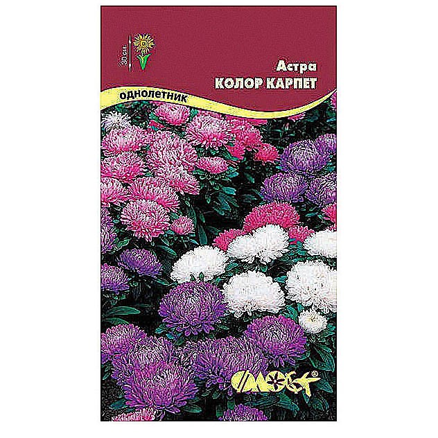 Купить Семена Астры Многолетней Кустовой