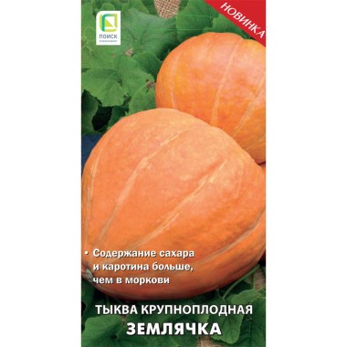 Семена Тыква крупноплодная Землячка Поиск 10 шт — Городок мастеров