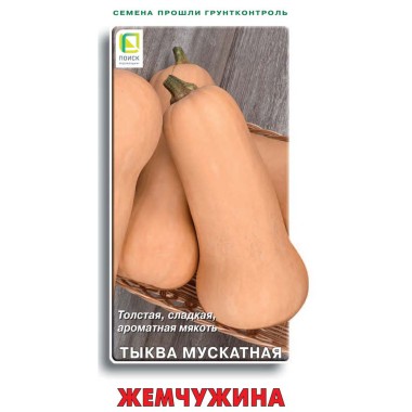 Семена Тыква мускатная Жемчужина Поиск 10 шт — Городок мастеров